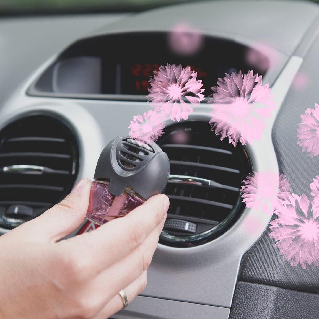 Air Fresheners | The Car Wizz AutoStore
