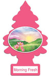 LITTLE TREES Morning Fresh 1 Pack Long Lasting Car/Home/Office Air Fresheners - The Car Wizz AutoStore